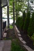 Bass Lake Lodge - landscaping privacy hedge